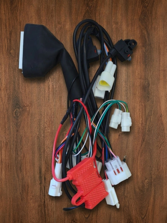 Wiring Harness with Headlight Plug - IonicMoto