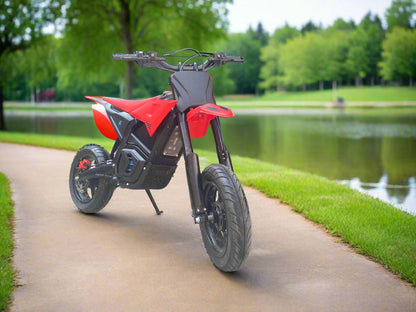 12 Inch Supermoto Wheels | Supermoto Wheels | IonicMoto